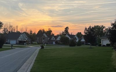 Keep It in the Yard