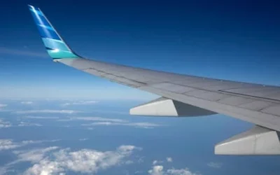 Sky Fly