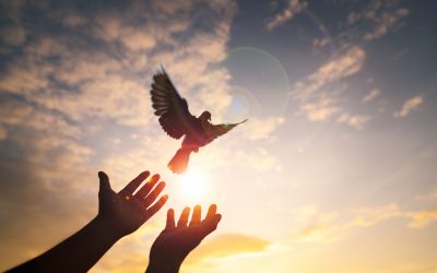 Praying for Peace