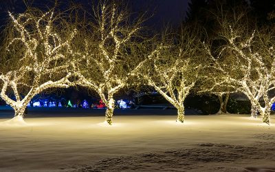 Christmas Glory